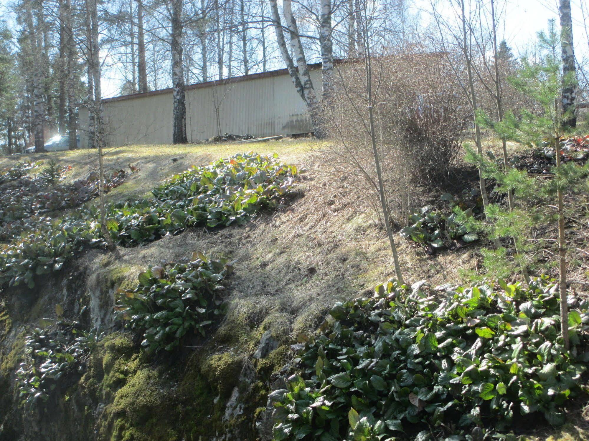 Huoneistohotelli Tarjanne Virrat Bagian luar foto